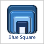 Blue Square Contracting